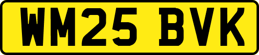 WM25BVK