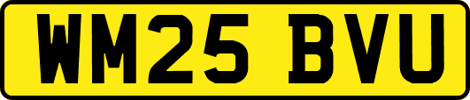 WM25BVU