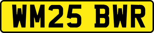 WM25BWR