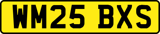 WM25BXS