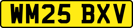 WM25BXV
