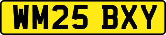 WM25BXY