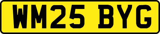 WM25BYG