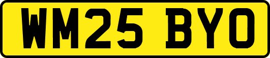 WM25BYO