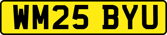 WM25BYU