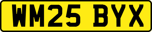 WM25BYX