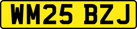 WM25BZJ