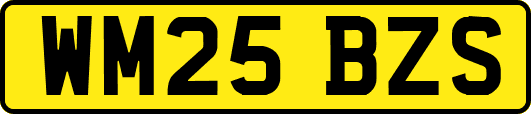 WM25BZS