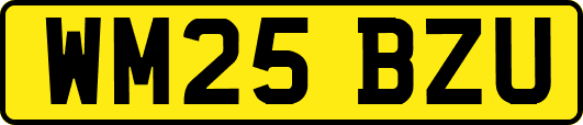 WM25BZU