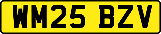 WM25BZV