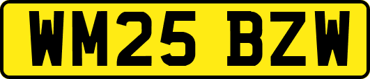 WM25BZW