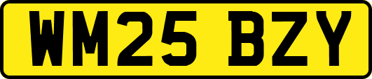 WM25BZY