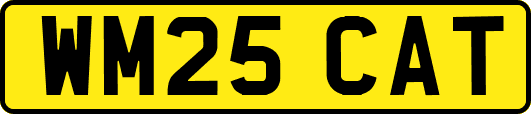 WM25CAT