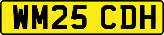 WM25CDH