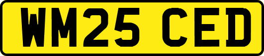 WM25CED