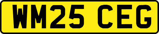 WM25CEG