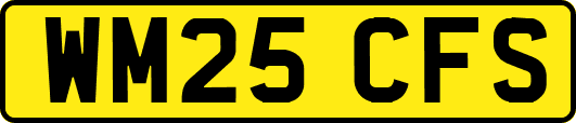 WM25CFS