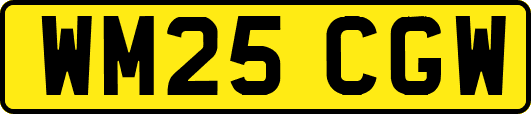 WM25CGW