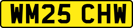 WM25CHW
