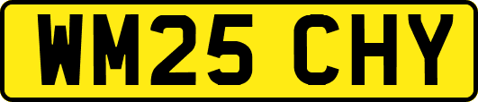 WM25CHY