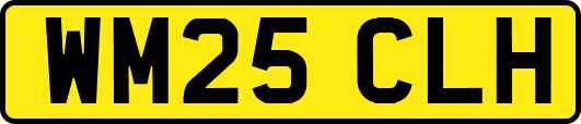 WM25CLH