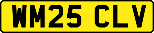 WM25CLV