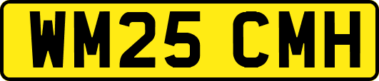 WM25CMH