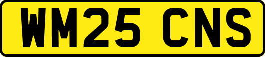 WM25CNS