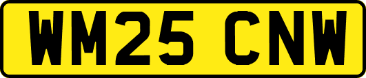 WM25CNW