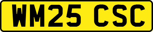 WM25CSC