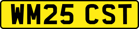 WM25CST