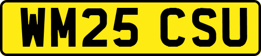 WM25CSU