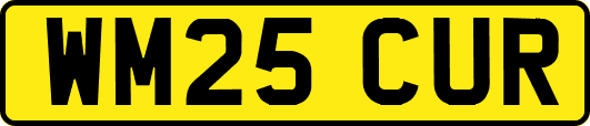 WM25CUR