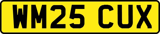 WM25CUX