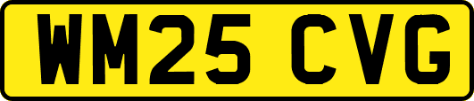WM25CVG