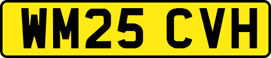 WM25CVH