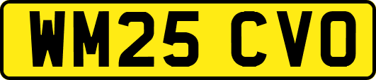 WM25CVO
