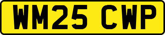 WM25CWP