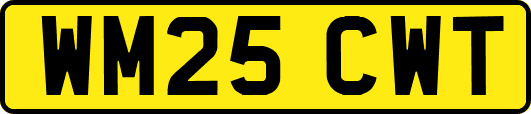 WM25CWT