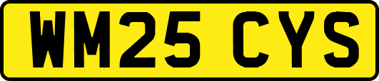 WM25CYS