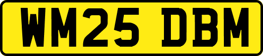 WM25DBM