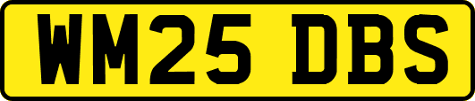 WM25DBS
