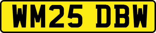 WM25DBW