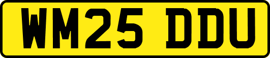 WM25DDU