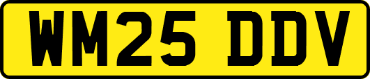 WM25DDV
