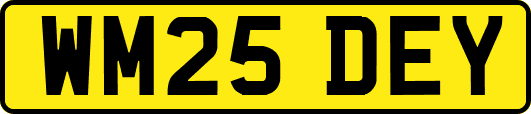 WM25DEY