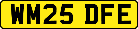WM25DFE