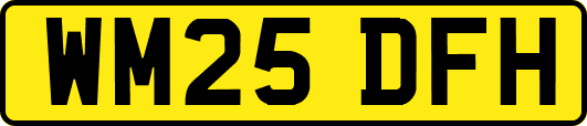 WM25DFH