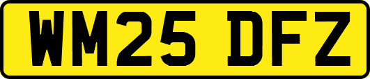 WM25DFZ