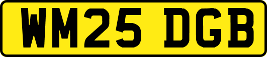 WM25DGB